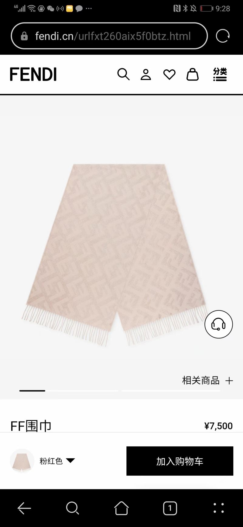 Fendi Scarf